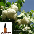 Pure Natural Steam Distilled Extraction Essential Clove Buds Oil